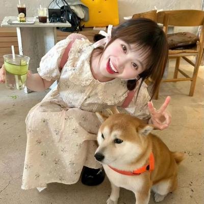 加菲猫和他的朋友们第七季